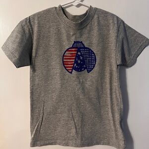 ❤️3/$10 Gray T-Shirt with Ladybug American Flag Design